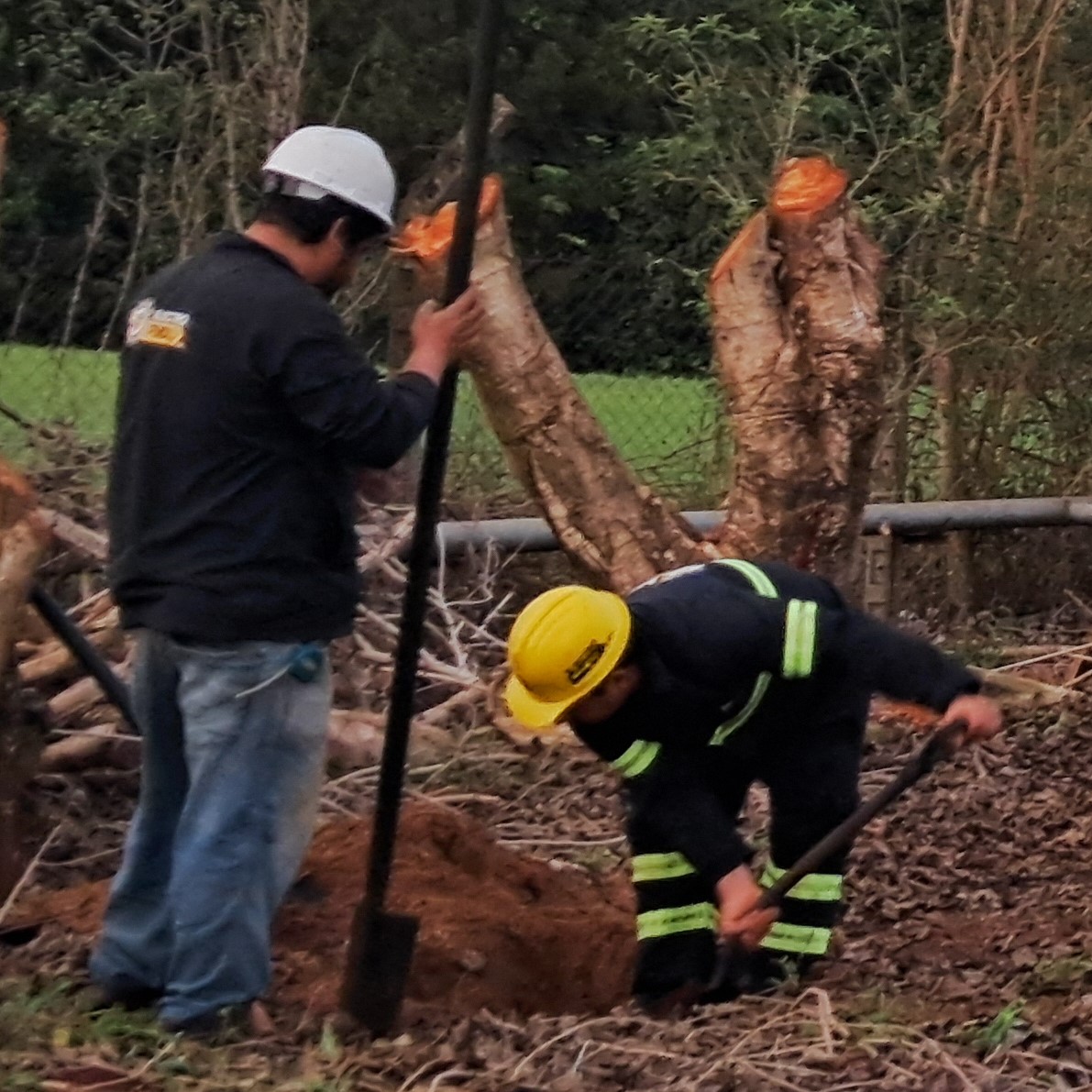 BELLA VISTA